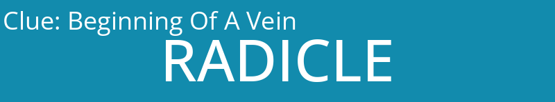 Beginning Of A Vein