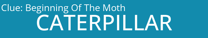 Beginning Of The Moth