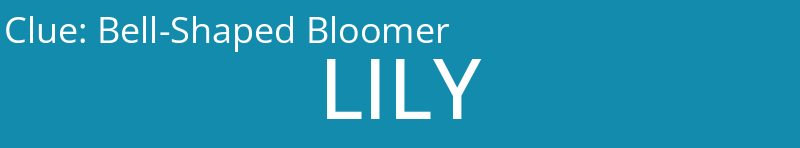 Bell-Shaped Bloomer