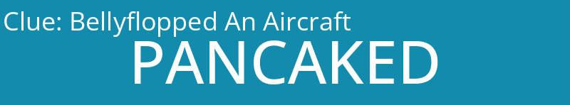 Bellyflopped An Aircraft