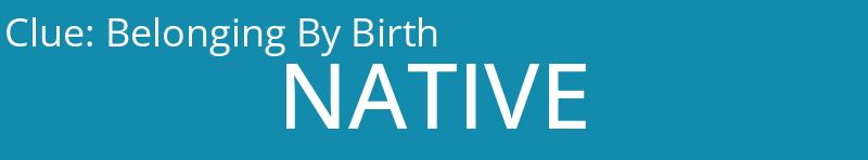 Belonging By Birth