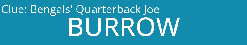 Bengals' Quarterback Joe