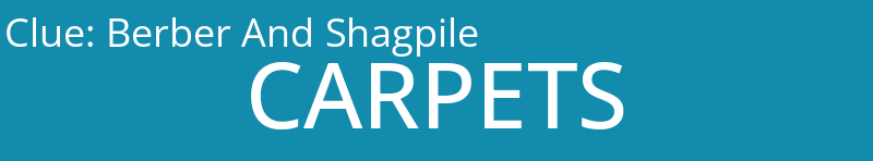 Berber And Shagpile
