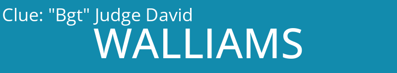 "Bgt" Judge David