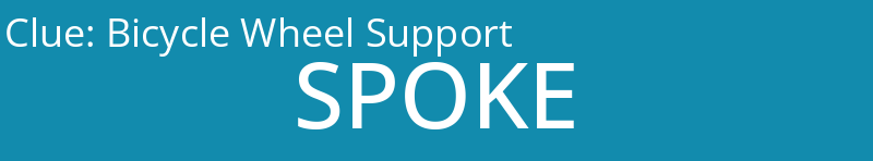 Bicycle Wheel Support