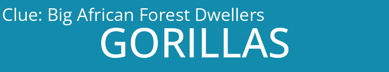 Big African Forest Dwellers