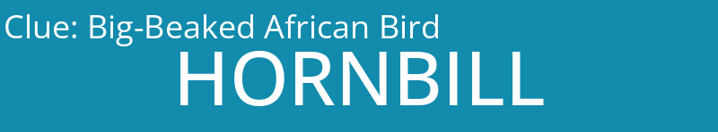 Big-Beaked African Bird