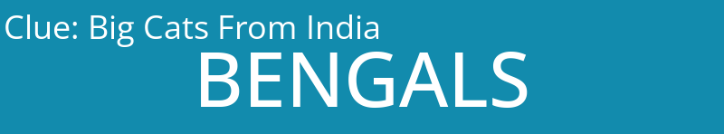 Big Cats From India