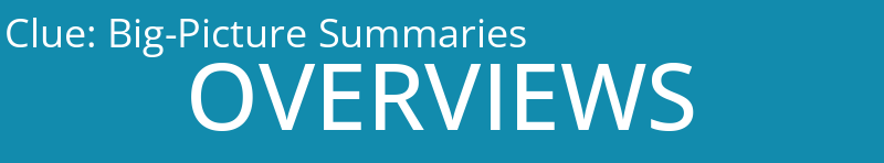 Big-Picture Summaries