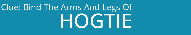 Bind The Arms And Legs Of