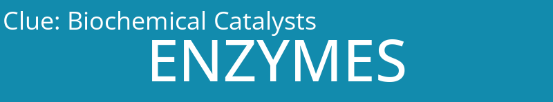 Biochemical Catalysts