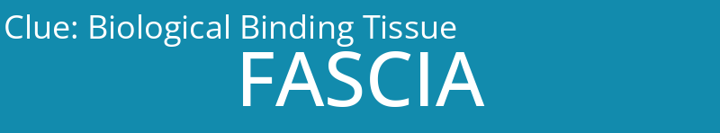 Biological Binding Tissue