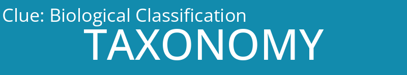 Biological Classification