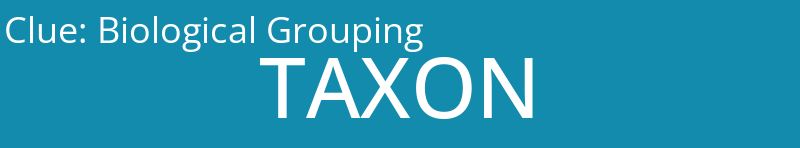 Biological Grouping
