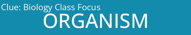 Biology Class Focus