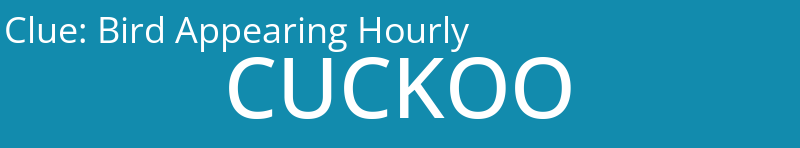 Bird Appearing Hourly