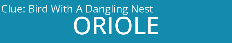 Bird With A Dangling Nest