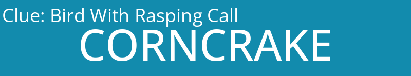 Bird With Rasping Call