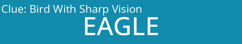 Bird With Sharp Vision