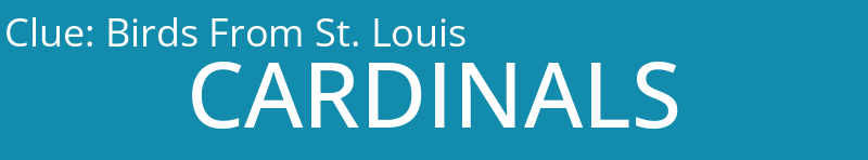 Birds From St. Louis