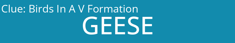 Birds In A V Formation