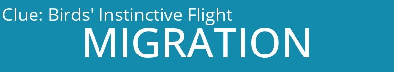Birds' Instinctive Flight