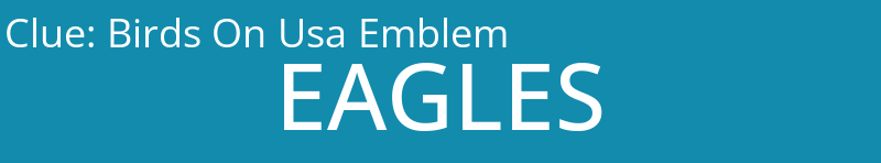 Birds On Usa Emblem