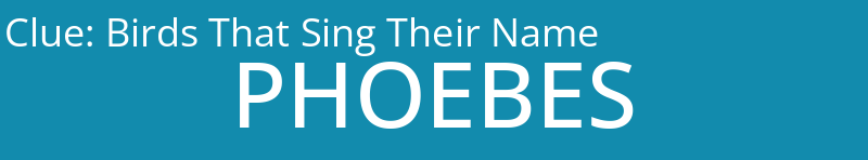 Birds That Sing Their Name