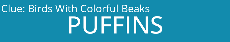 Birds With Colorful Beaks