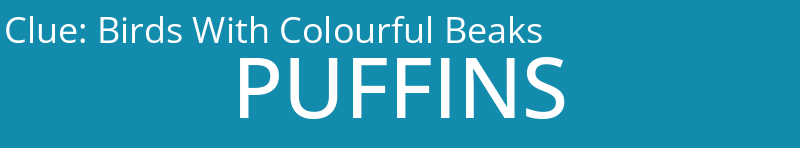 Birds With Colourful Beaks