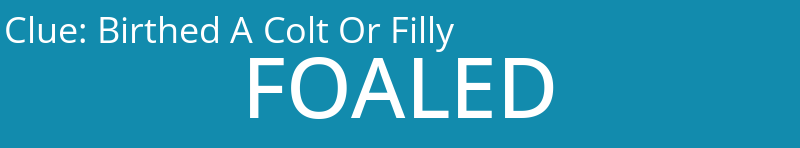 Birthed A Colt Or Filly