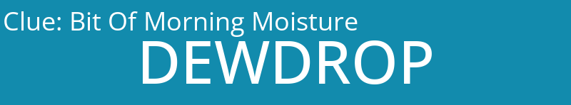 Bit Of Morning Moisture