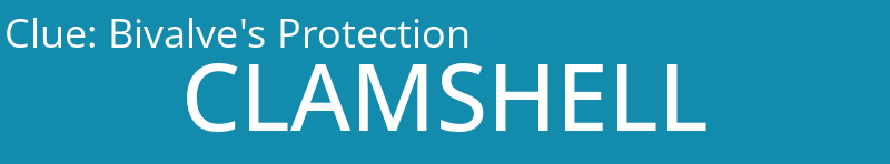 Bivalve's Protection