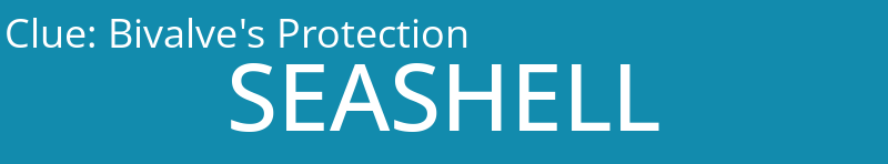 Bivalve's Protection