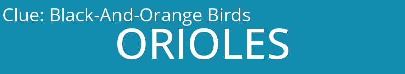 Black-And-Orange Birds