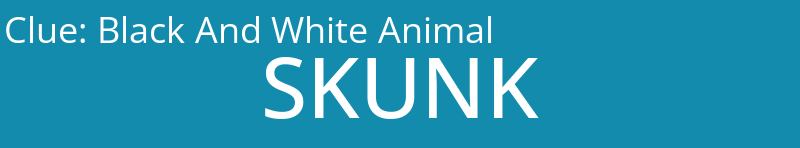 Black And White Animal