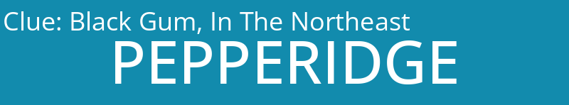 Black Gum, In The Northeast