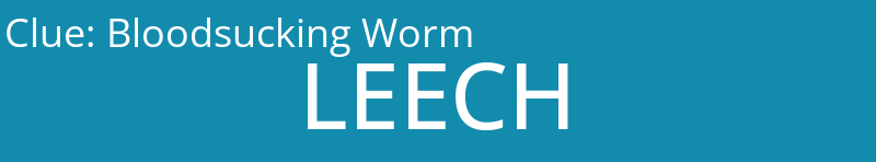 Bloodsucking Worm