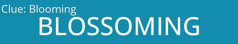 Blooming