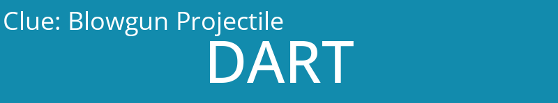 Blowgun Projectile