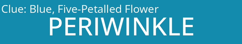 Blue, Five-Petalled Flower