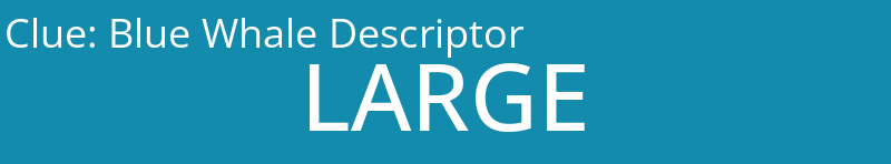 Blue Whale Descriptor