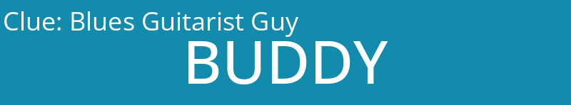 Blues Guitarist Guy