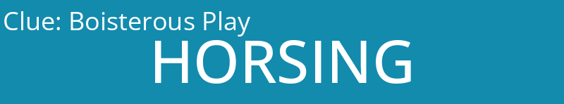 Boisterous Play