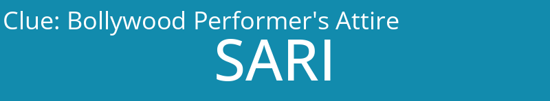 Bollywood Performer's Attire