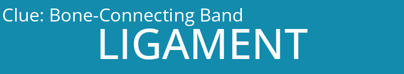 Bone-Connecting Band