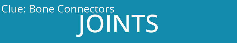 Bone Connectors