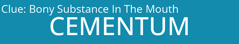 Bony Substance In The Mouth