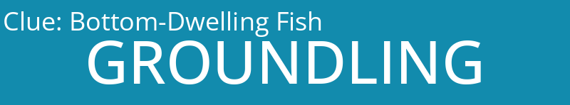 Bottom-Dwelling Fish