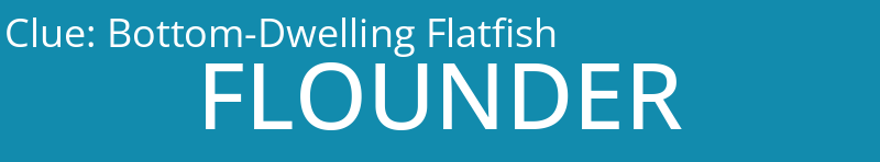 Bottom-Dwelling Flatfish